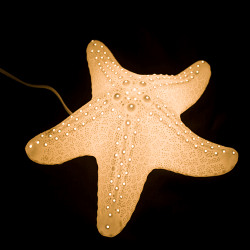 Starfish Lantern